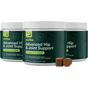 Dog Hip & Joint Supplement